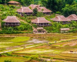TP. HCM - HÀ NỘI - ĐỀN HÙNG - MAI CHÂU - MỘC CHÂU - SƠN LA - ĐIỆN BIÊN - TP. HCM - 4N3Đ