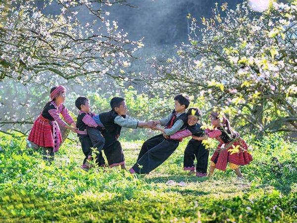 Du lịch Mộc Châu tháng 5: Khi thiên nhiên nhuộm đỏ những vườn mận trĩu quả