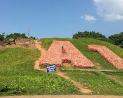 TP. HCM - HÀ NỘI - ĐỀN HÙNG - MAI CHÂU - MỘC CHÂU - SƠN LA - ĐIỆN BIÊN - TP. HCM - 4N3Đ