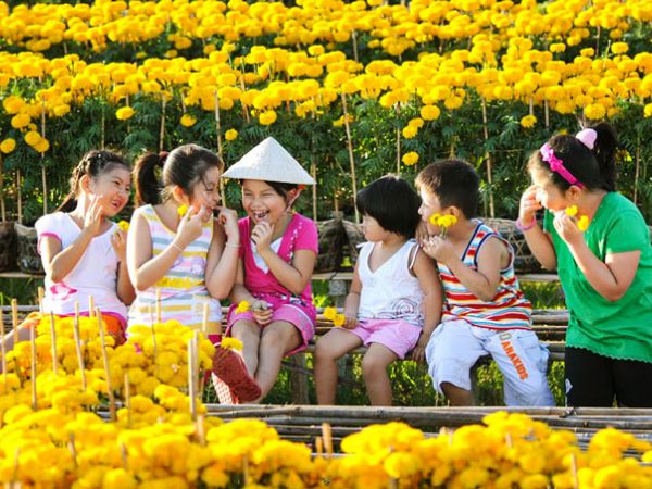 Tết miền Tây có gì hấp dẫn? Khám phá ngay những điểm đến nổi bật