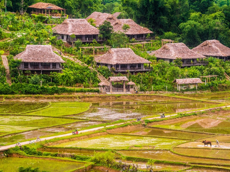 TP. HCM - HÀ NỘI - ĐỀN HÙNG - MAI CHÂU - MỘC CHÂU - SƠN LA - ĐIỆN BIÊN - TP. HCM - 4N3Đ